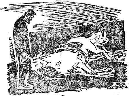 Николай Анов - Гибель Светлейшего