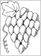 Наталья Дмитриева - Поделки из природных материалов