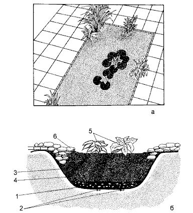 Валентина Назарова - Бассейны, пруды и фонтаны. Строительство, эксплуатация, ремонт