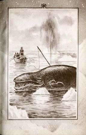 Луи Буссенар - Французы на Северном полюсе