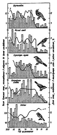 Леонид Соколов - Почему перелетные птицы возвращаются домой