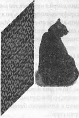 Леонард Сасскинд - Битва при черной дыре. Мое сражение со Стивеном Хокингом за...