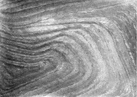 Михаил Ямпольский - Пригов. Очерки художественного номинализма