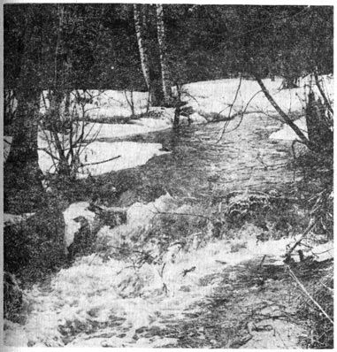 Михаил Величко - Маленькие путешествия вокруг большого города