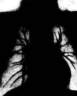 Михаил Привес, Николай Лысенков и др. - Анатомия человека