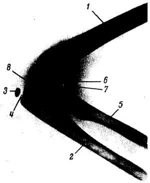 Михаил Привес, Николай Лысенков и др. - Анатомия человека