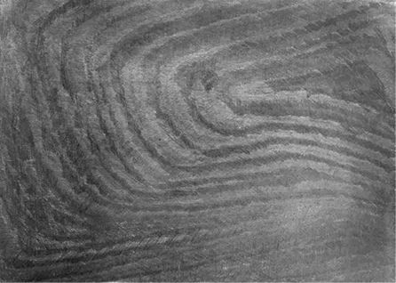 Михаил Ямпольский - Пригов. Очерки художественного номинализма