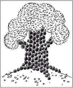 Наталья Дмитриева - Поделки из природных материалов