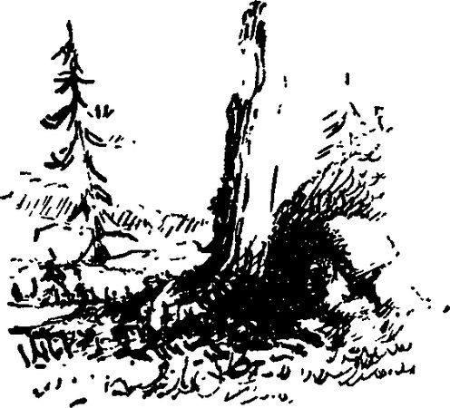 Иван Ефремов - Алмазная труба: Рассказы