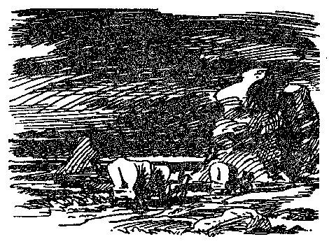 Зейн Грей - Пограничный легион [сборник]