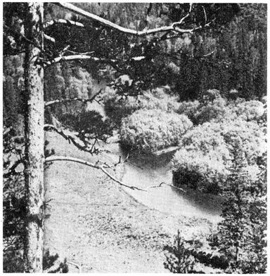 Михаил Величко - Маленькие путешествия вокруг большого города