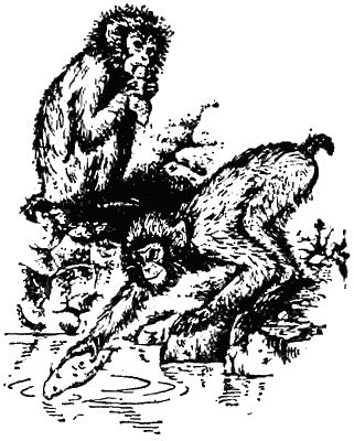 Игорь Акимушкин - Причуды природы