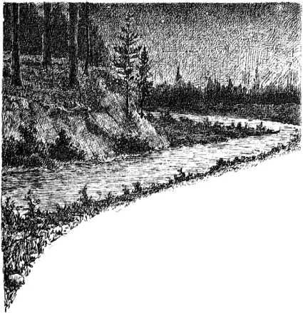 Сергей Минцлов - Клад