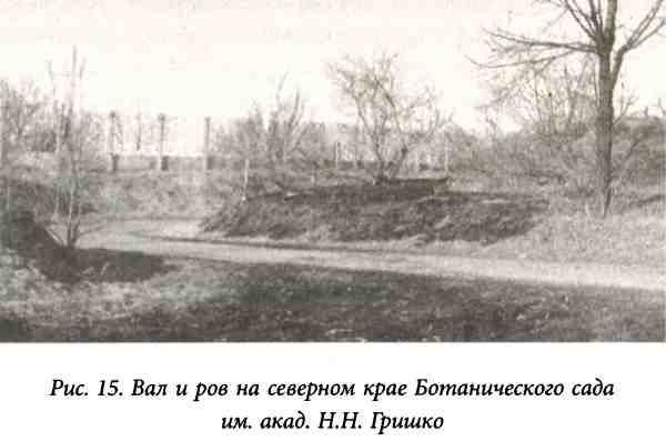 Виктор Янович - Золото скифов: тайны степных курганов