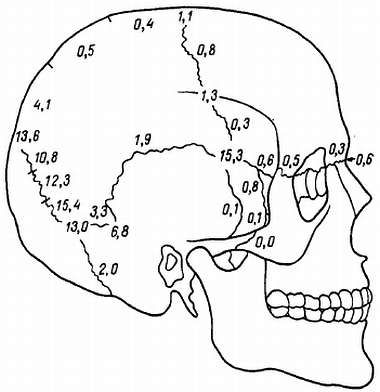 Михаил Привес, Николай Лысенков и др. - Анатомия человека