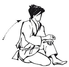 Андрей Григорьев - Боевое айкидо. Философия боя. Система обороны