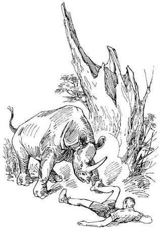 Бернгард Гржимек - Среди животных Африки