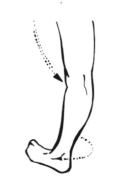 Андрей Григорьев - Боевое айкидо. Философия боя. Система обороны