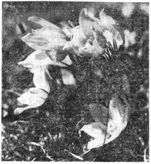 Михаил Величко - Маленькие путешествия вокруг большого города