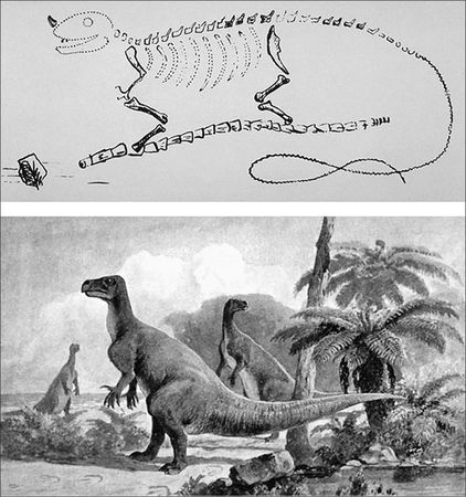 Николай Непомнящий - 100 великих тайн доисторического мира