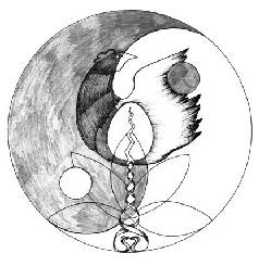 Роман Доля - Заповеди исцеления. Метафизика перемен