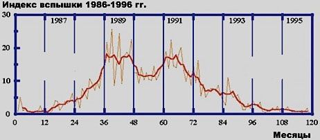 Николай Конюхов - Экономический кризис: кто виноват и что делать