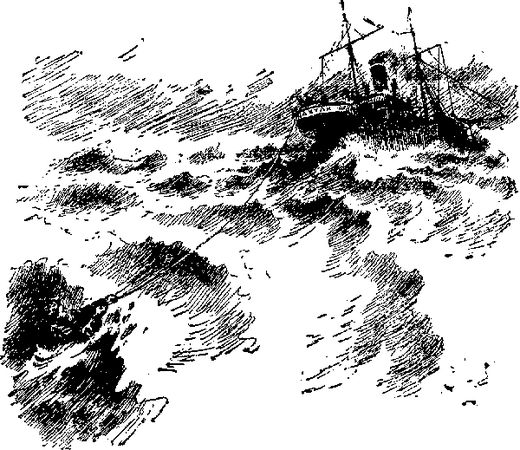 Николай Трублаини - "Лахтак"