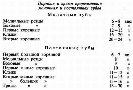 Михаил Привес, Николай Лысенков и др. - Анатомия человека