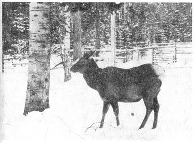 Михаил Величко - Маленькие путешествия вокруг большого города