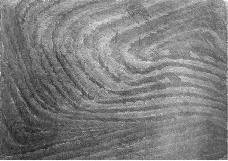 Михаил Ямпольский - Пригов. Очерки художественного номинализма