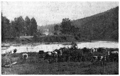 Михаил Величко - Маленькие путешествия вокруг большого города