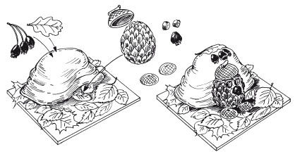 Наталья Дмитриева - Поделки из природных материалов