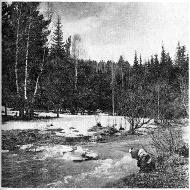 Михаил Величко - Маленькие путешествия вокруг большого города