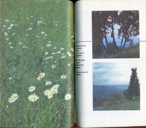 Михаил Величко - Маленькие путешествия вокруг большого города