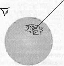 Леонард Сасскинд - Битва при черной дыре. Мое сражение со Стивеном Хокингом за...