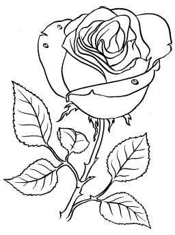 Ольга Веселовская - А свадьба пела и плясала...