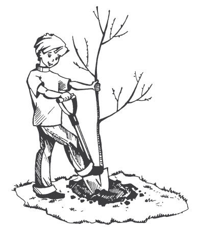 Ольга Романова - 150 ритуалов для привлечения денег