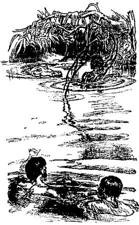 Майн Рид - Оцеола, вождь семинолов