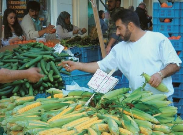 Р. Менх, М. Эккольт и др. - Берлин. Путеводитель