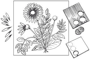 Наталья Дмитриева - Поделки из природных материалов