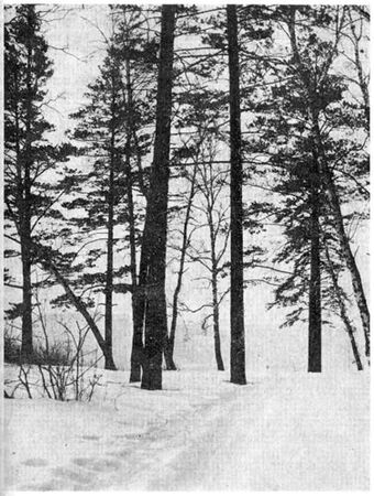 Михаил Величко - Маленькие путешествия вокруг большого города