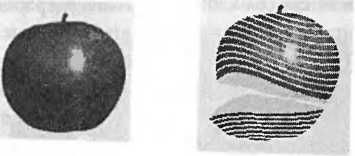 Леонард Сасскинд - Битва при черной дыре. Мое сражение со Стивеном Хокингом за...