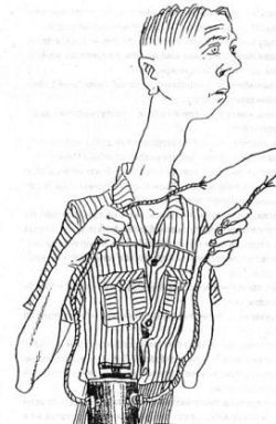 Александр Каневский - Тэза с нашего двора