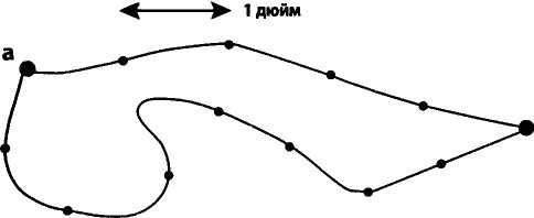 Леонард Сасскинд - Битва при черной дыре. Мое сражение со Стивеном Хокингом за...