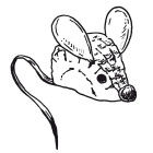 Поделки из природных материалов