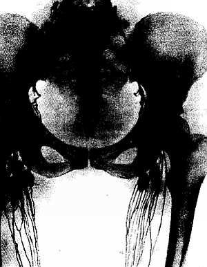 Михаил Привес, Николай Лысенков и др. - Анатомия человека