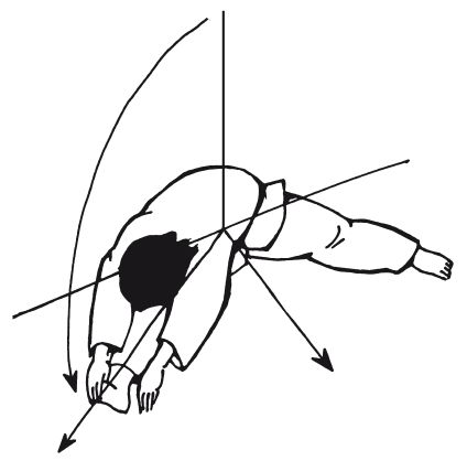 Андрей Григорьев - Боевое айкидо. Философия боя. Система обороны
