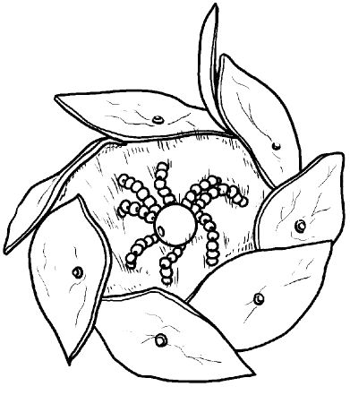 Светлана Хворостухина - Стильная бижутерия своими руками. Бусы, браслеты,...