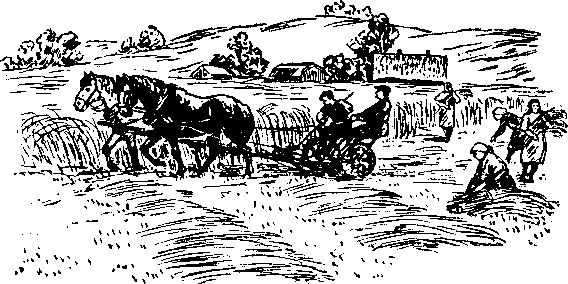 Сергей Воронин - На своей земле