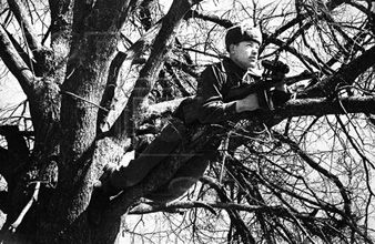 Владимир Побочный, Людмила Антонова - Курская великая битва (01.06.1943 -...